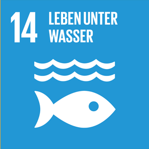 14 Leben unter Wasser