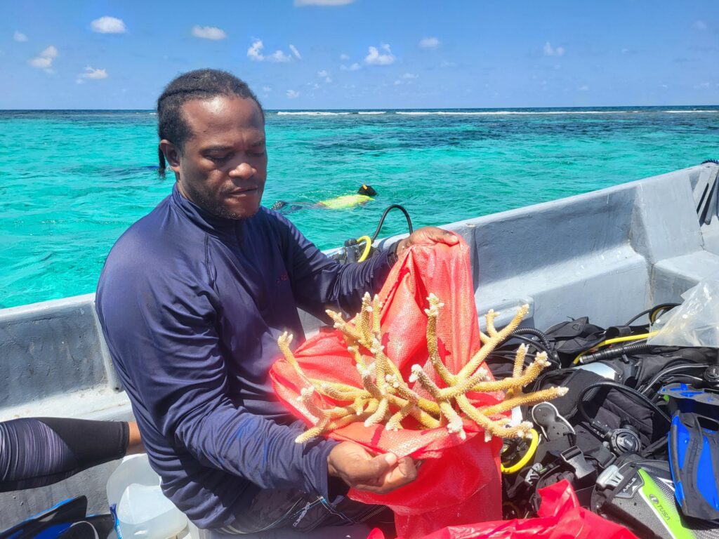 Bilaterale Klimaprojekte: Ein Mann sitzt auf einem Boot im Meer und hält Korallen in der Hand.