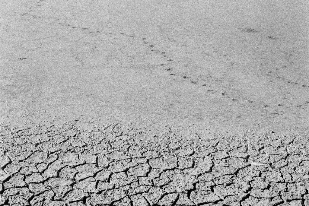 Schwarzweißfoto ausgetrockneter Flusserde, aufgenommen am Randes des Podeltas.